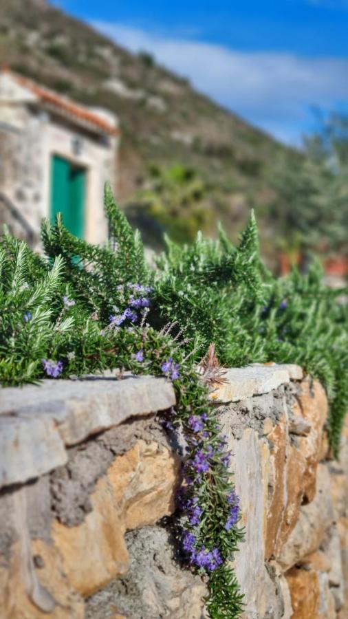 Guest house Casa Nova Perast
